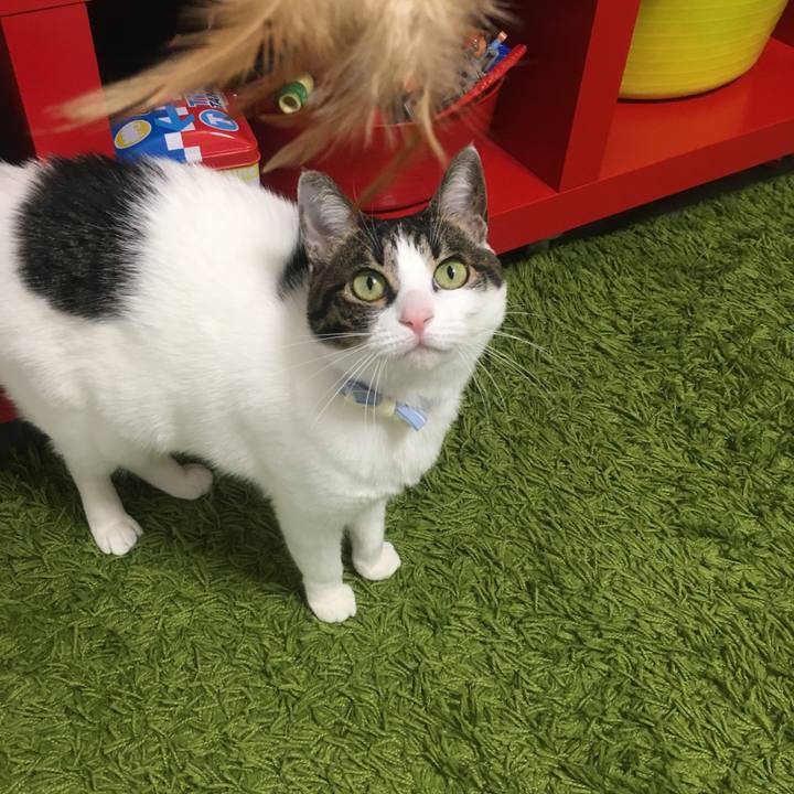 C5efc819 d5f8 4ead 88ec 75a7c1a14dec