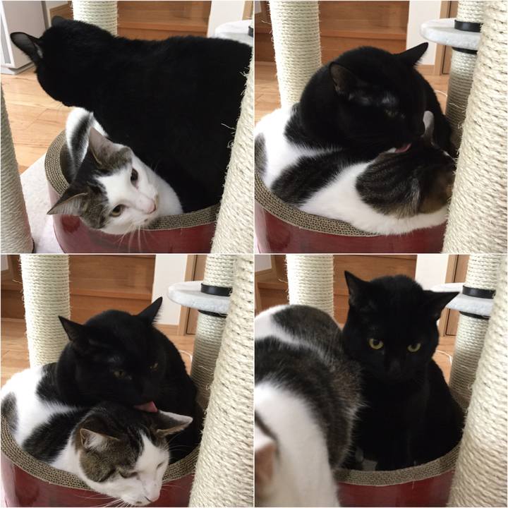 C5efd953 1556 47d6 808a 0473040bfb2f