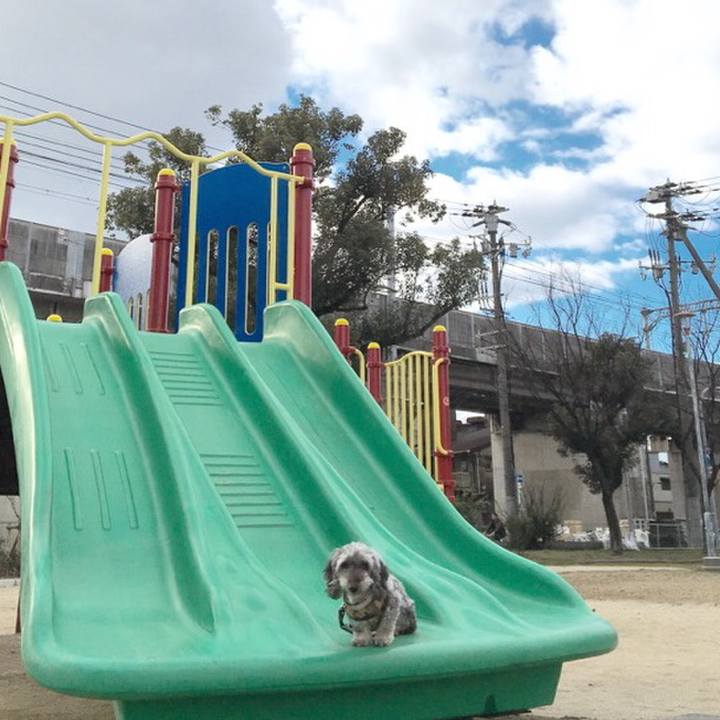 C5f05ccd 5b8c 42cc abfd a04158d5157c