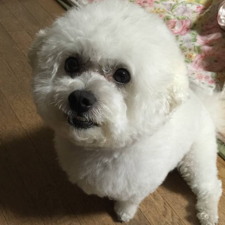 C5f08e41 55a3 4490 b036 2b01134a1269