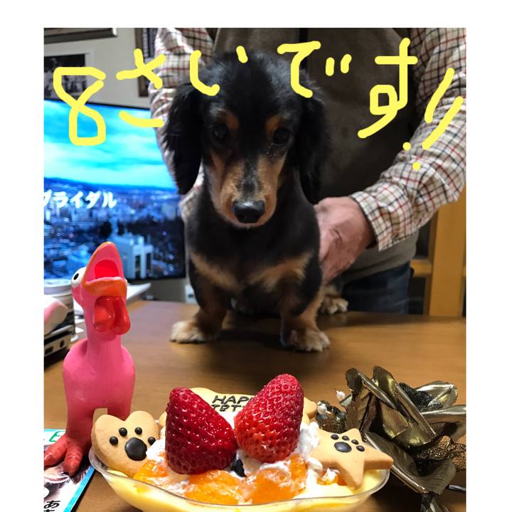 C5f28c76 215c 496d 8976 a83b0a29c1d6