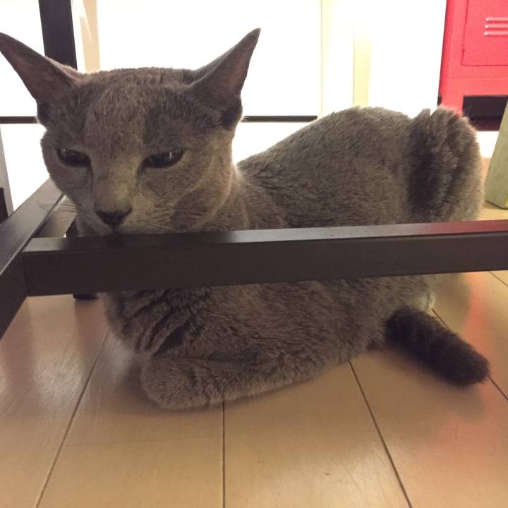 C5f29753 9a9a 481b a307 b77586ba4a5a