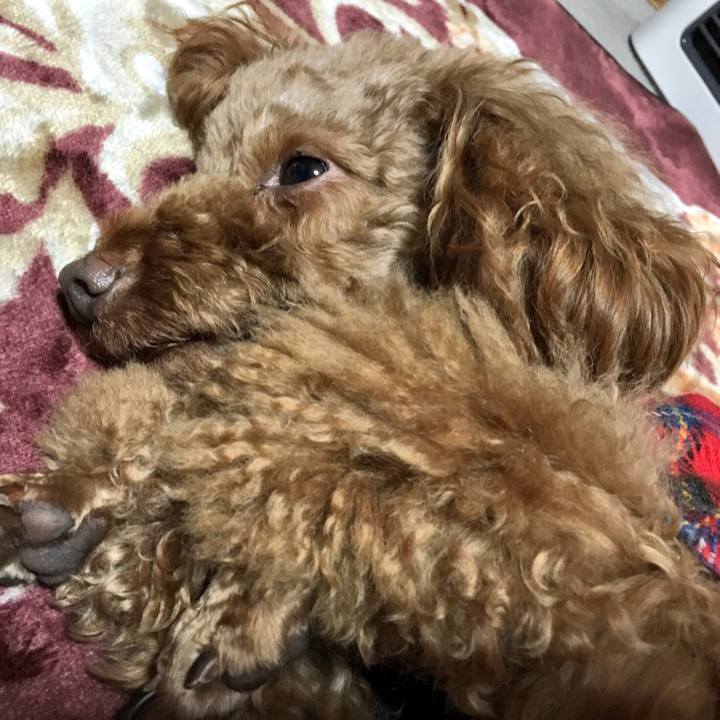 C5f2c435 bf66 4090 81a9 e9c25197c190