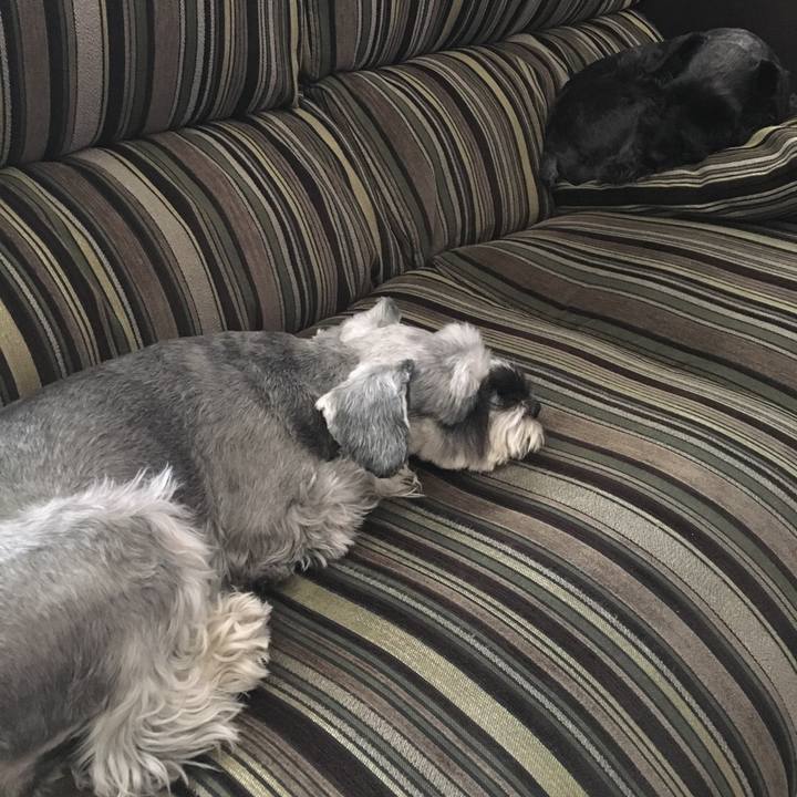 C5f2cb11 9b19 4b75 ae25 ab7257185485