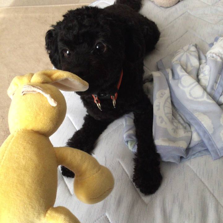 C5f2e773 581f 4c31 b1f8 fecc649de809