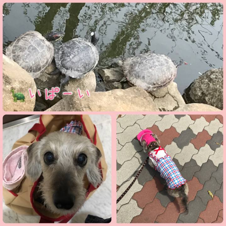 C5f3aeb2 627d 4989 85b9 964218a6a983