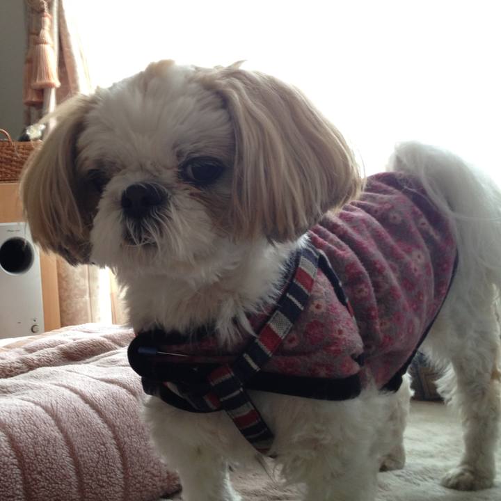 C5f3b60a c598 4e62 aeb3 441ceb2d1fb7