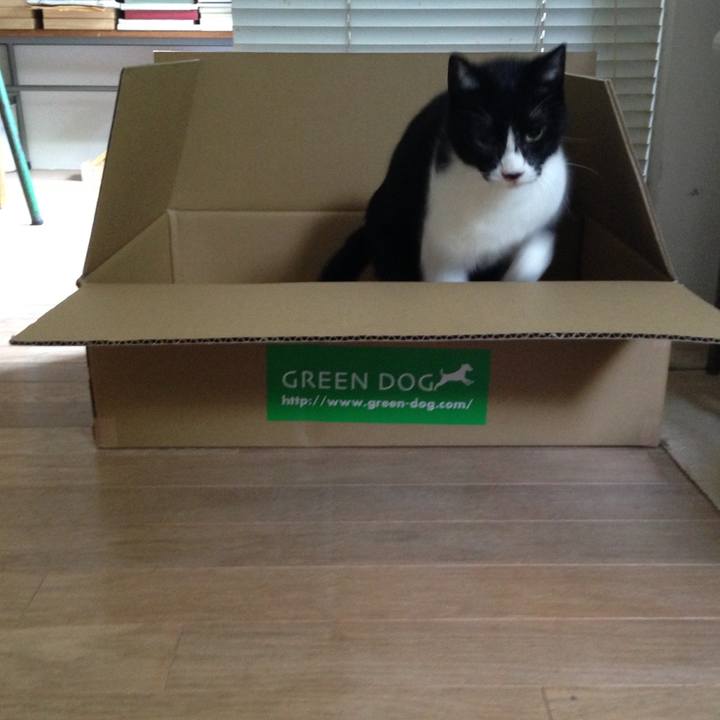 C5f4394d 1559 4f4e b340 08b09a1dd394