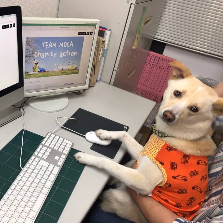 C5f4871a 47c9 4a23 b8ac 97c257bd067f