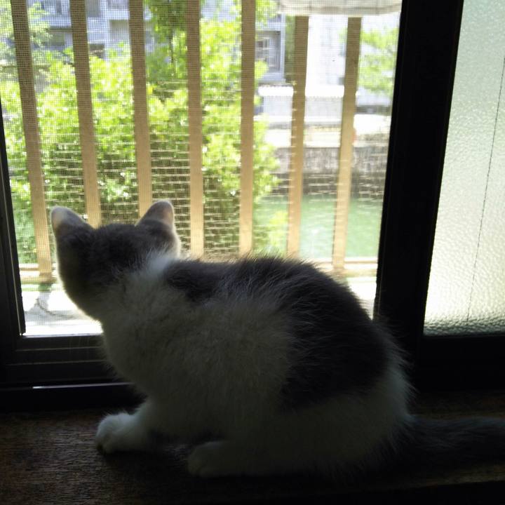 C5f4ac0a 1ef7 4bd9 a42a 5817c965bd8b