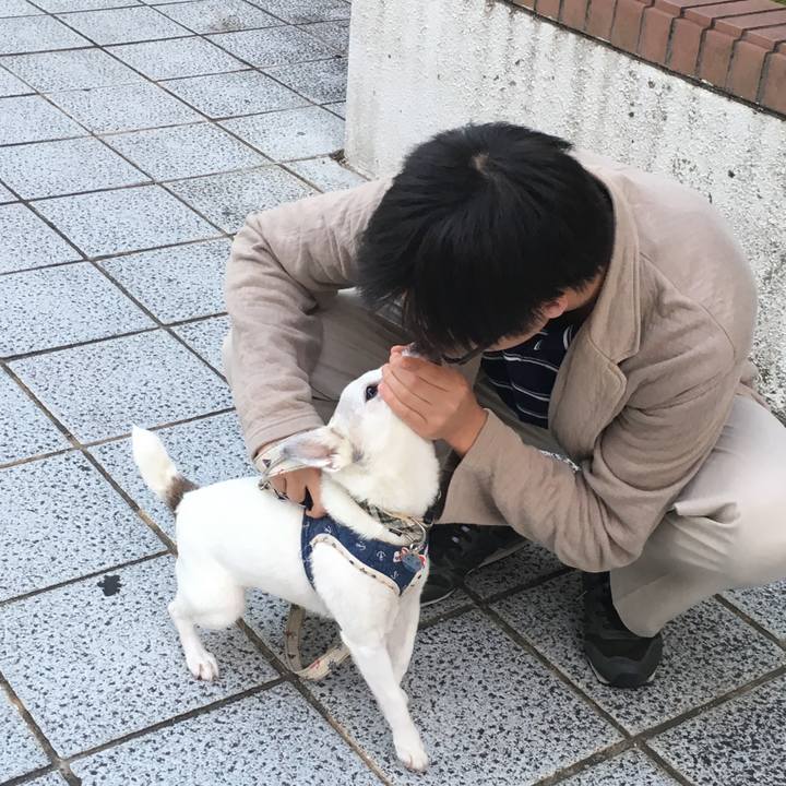 C5f4ccc9 986f 4947 9ad4 22ba3e43b8ec