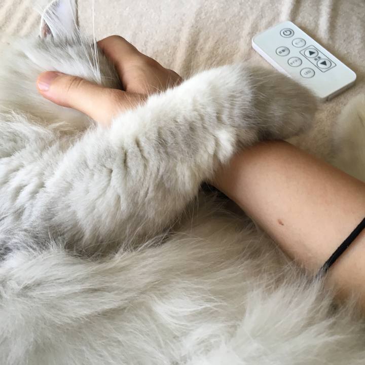 C5f54605 194a 4f11 90e0 38173e5de51a