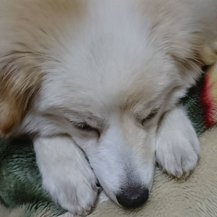 C5f5d5aa 5b5f 42d7 bc63 4032389d73e8