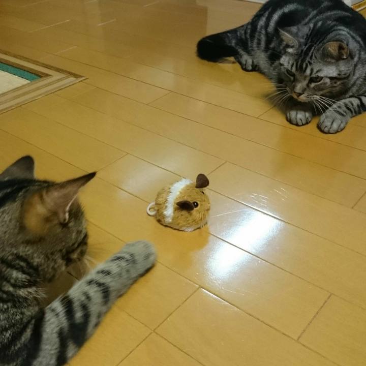 C5f608a6 2e20 4e33 ac12 7c607dd418ef