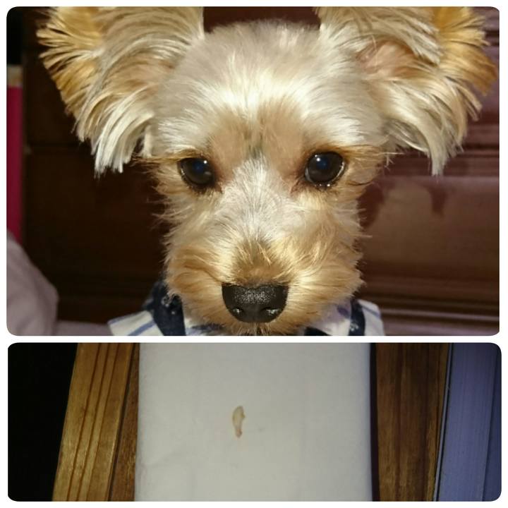 C5f61bef 5f2f 4c13 b812 dd71fefb5d3e