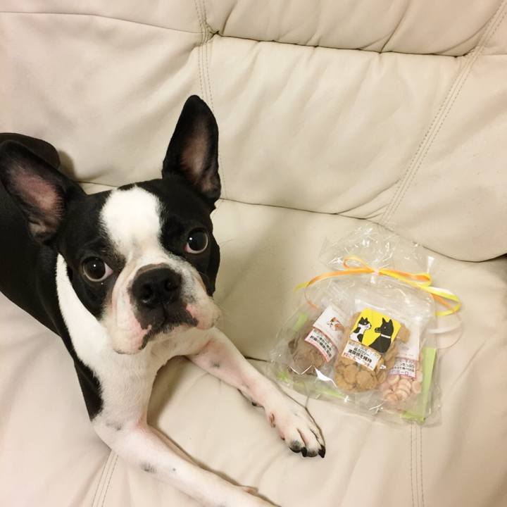 C5f61d19 b466 4668 9c17 9ec8d19b1c31