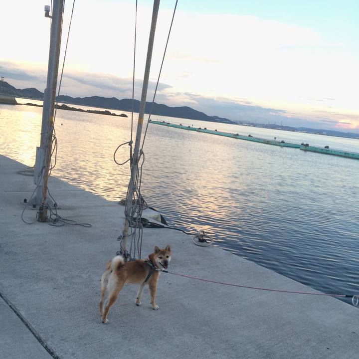 C5f63bf3 72e2 4b84 88c3 8040219c9a8c