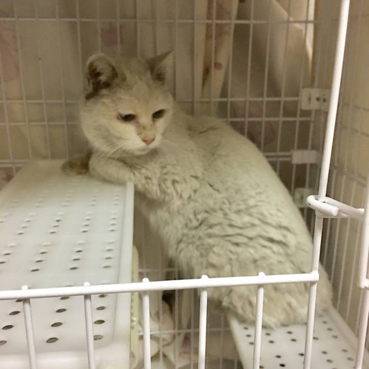 C5f654cf 3223 49e9 a5c1 acaf362586a2