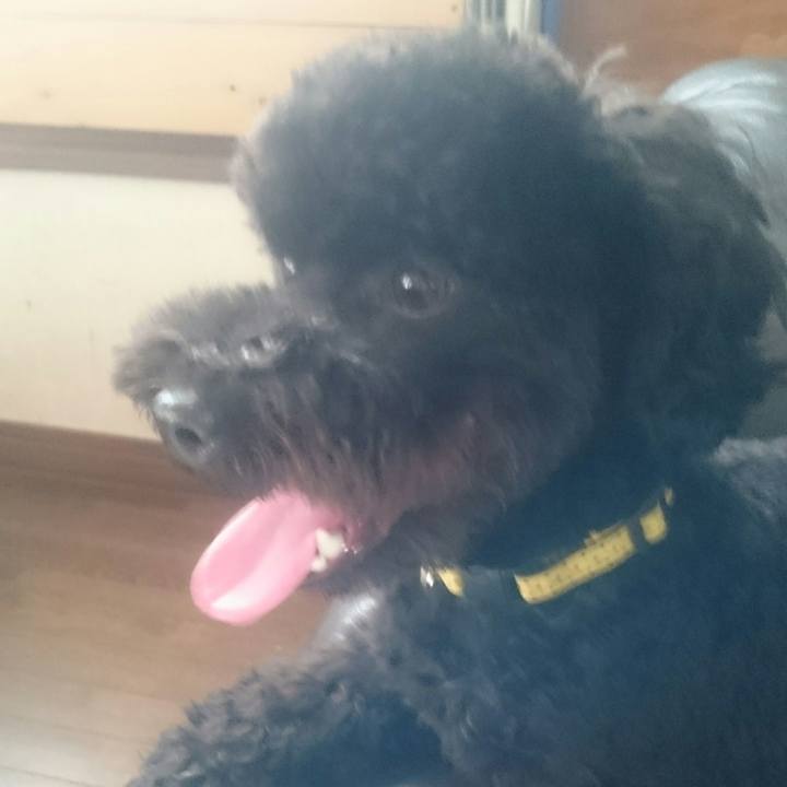 C5f65846 341e 46c7 a285 d0247296a518