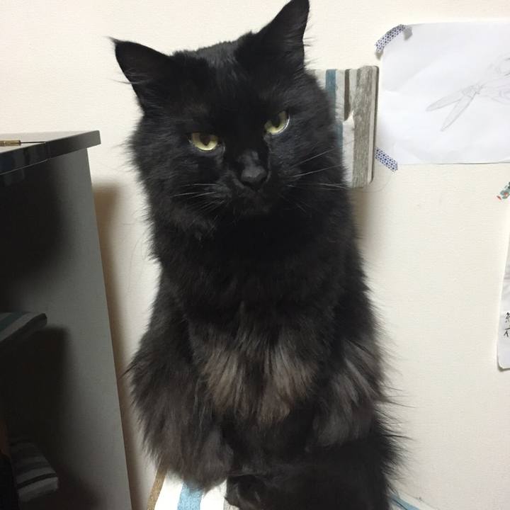 C5f669df 2ad8 46d4 a00c 7014f60e4f6b