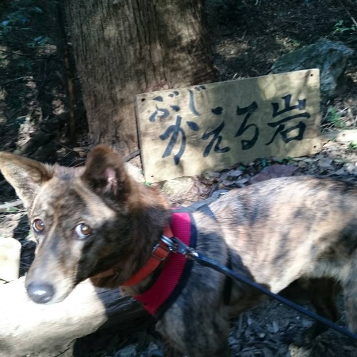 C5f6750c 5bd0 4a07 b010 26339ee8291d