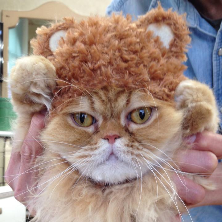 C5f6e4d4 7367 479a 8658 dd3dd67fb9ea