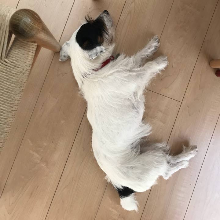 C5f6eb84 7685 450b b87b abf3f08bf157