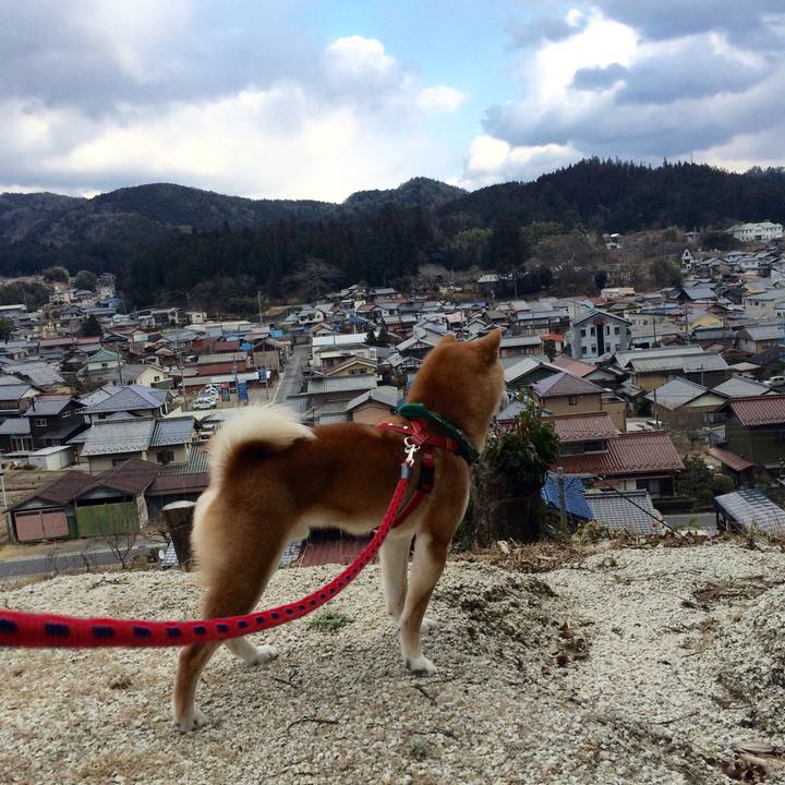 C5f79226 edf1 4ae1 a129 f73fff35d1be