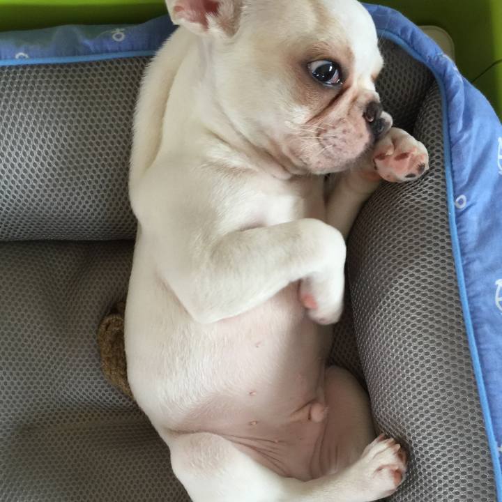 C5f81cd0 c24c 48a4 8bfc 09b101025dc3