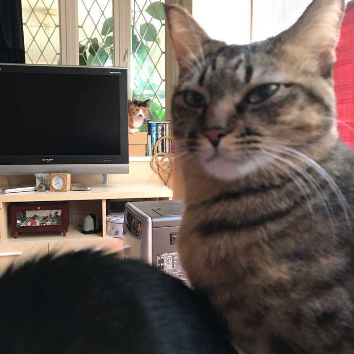 C5f86132 bd42 4fbe ad98 d1efb4f37f33