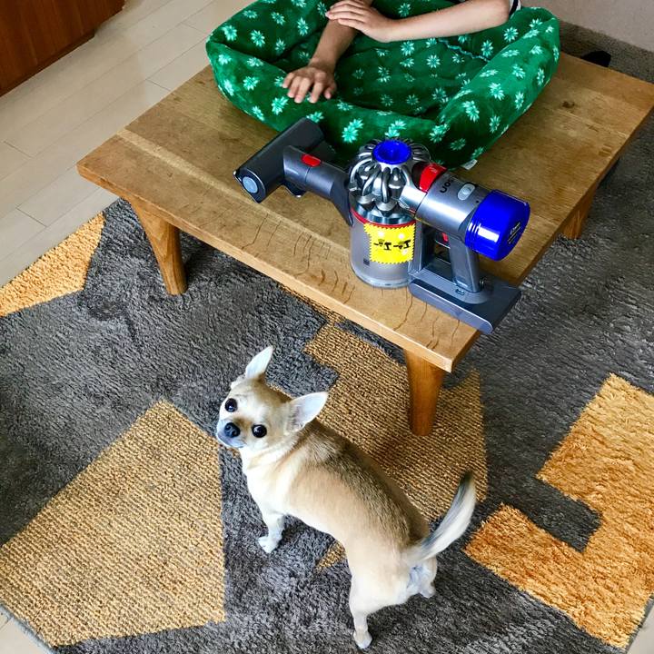 C5f8864d 8c76 418f ba75 fdc45a0cff1d