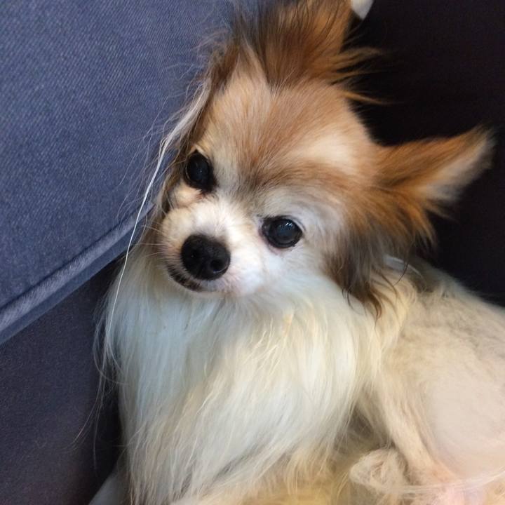 C5f8cdc9 3498 4f93 8af7 0676b1dcae05