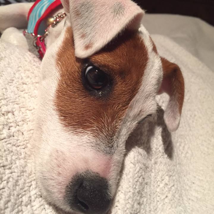 C5f90dc8 317c 4af3 af40 05e527513903