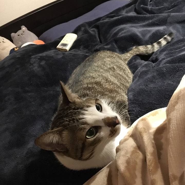 C5fa3223 35f9 4e6d ba83 9444a05743a3