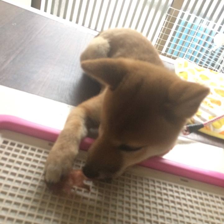 C5fa9f26 be9c 4ec5 9ab3 b15986a2c629