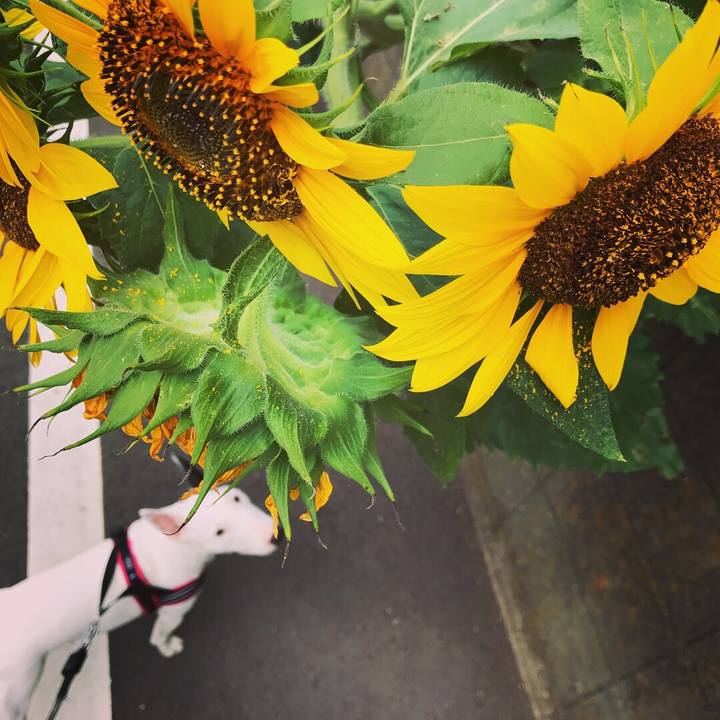 C5fb0205 a843 4d2f a214 39f336a7b546