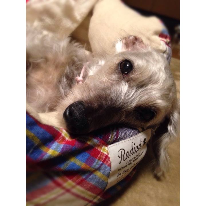 C5fb5ad0 2711 4204 a94f b492d4aa824c