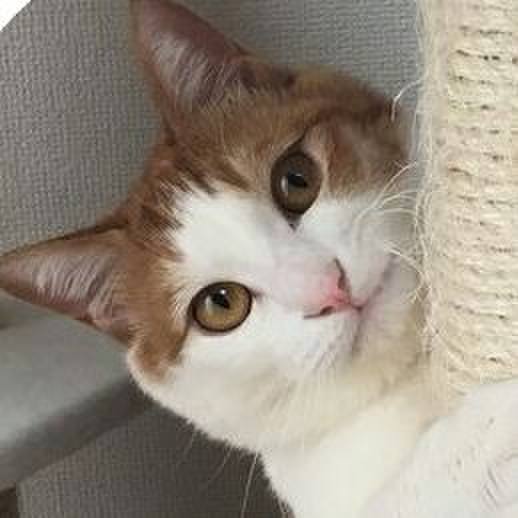 C5fbba42 2f9e 4cda aafd a9ba560af9c6