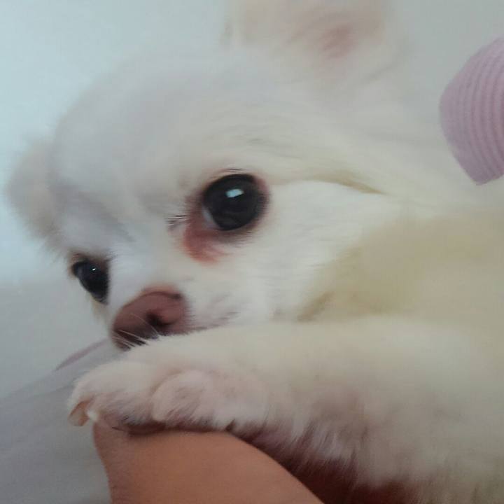 C5fbbd44 b44d 4241 9a09 39f2b42e1179