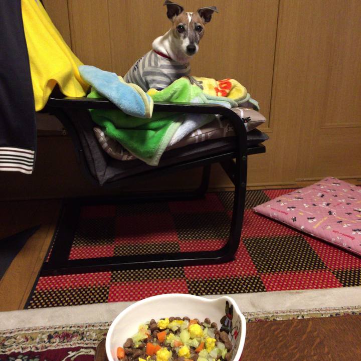 C5fc21b9 0c0c 4a4c b054 694f2ccfd84f