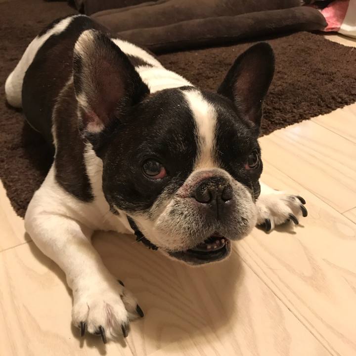 C5fc51ca 7dec 4a36 8672 8b7b03b90212