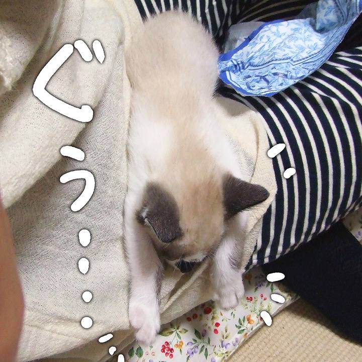 C5fd3407 a31d 4372 b978 e312f1aba705