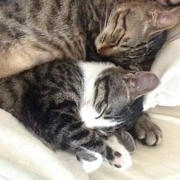 C5fd6703 3378 45ec 8281 fafcba709520