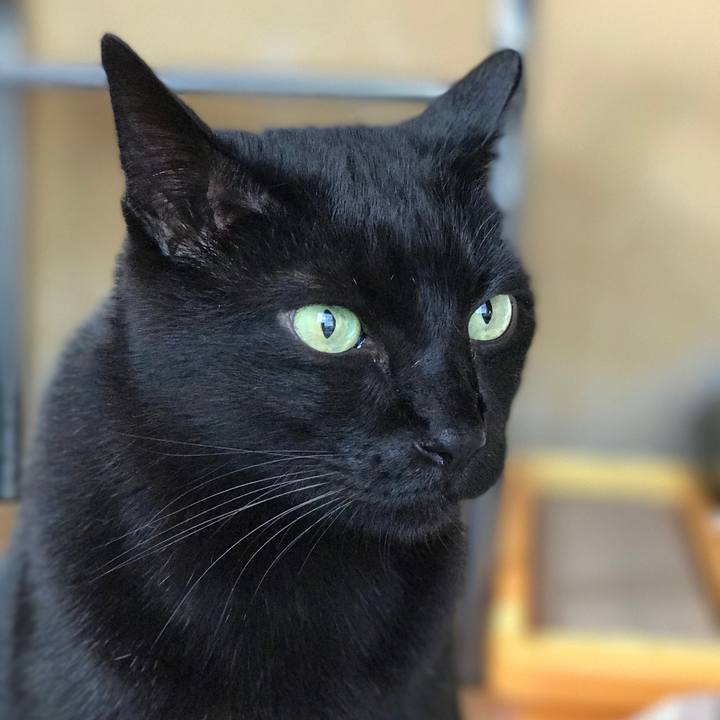 C5fe0386 7a03 49db a55a 6427ddef29da