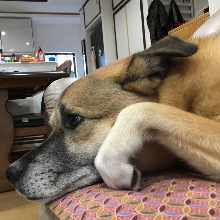 C5fec689 f186 40b7 ae83 05e295d33f6e