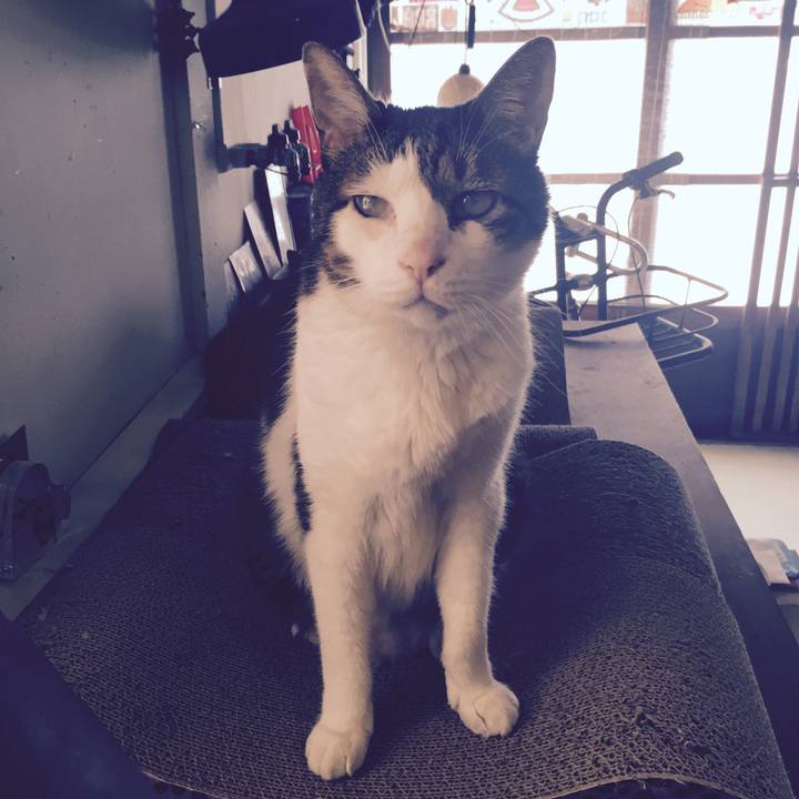 C5fff6fa 7b79 42e6 96a1 8e4a933a912a