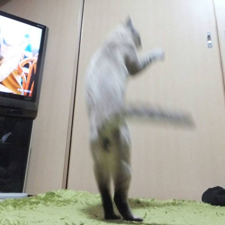 C6004d81 8ab1 4e29 8acc 4a2c0d04c922