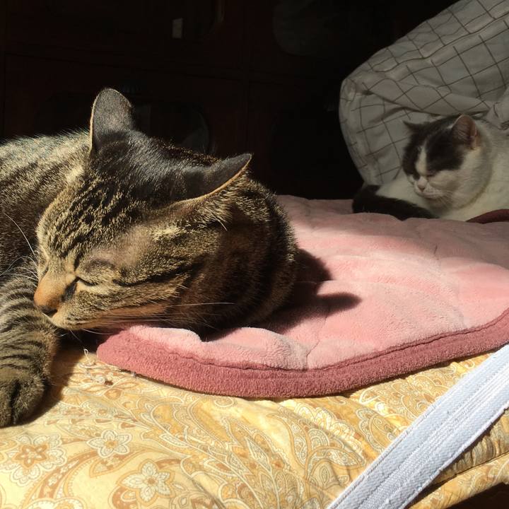 C6009004 31cd 4b56 9d10 4867114bff21