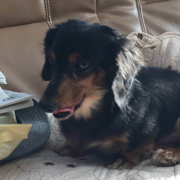 C600c7e7 0074 40f2 924e 554d0f4294ea