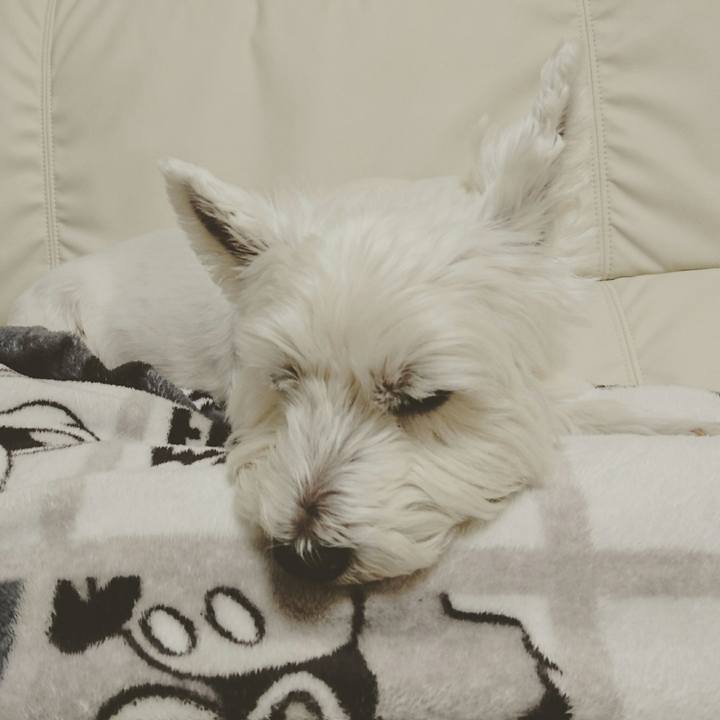 C600d4e4 9d14 4da9 9883 47c3d8f9fb0e